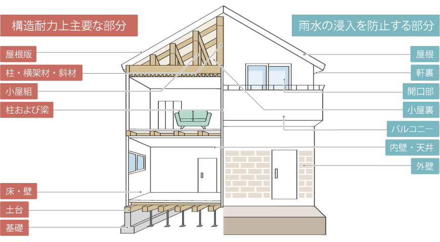 検査箇所の図解
