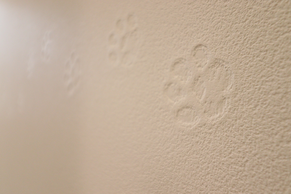 Wood × White の調和が心地よいおうち