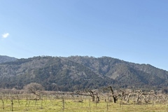 コテージでのんびり日