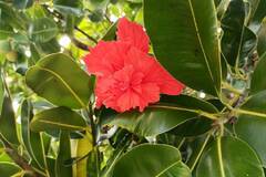 家族旅行～沖縄～