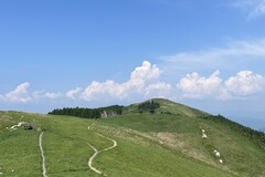 どこまでも広がる緑と青空の中でリフレッシュ