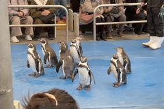 三重へ家族旅行