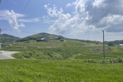 盆休みにした事！