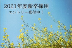 * 2021新卒採用エントリー開始★ *