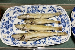 盆休み釣り遠征