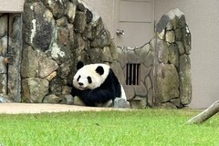 最近の出来事