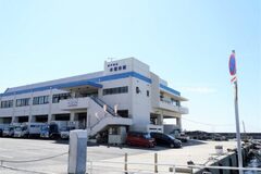 釜揚げしらす丼