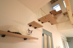 キャットウォーク