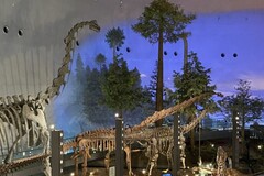 福井県立恐竜博物館