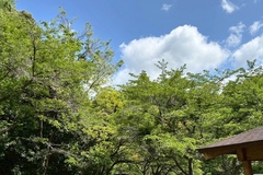 休日キャンプ