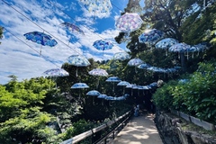 楊谷寺