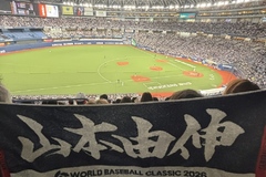 WBC強化試合