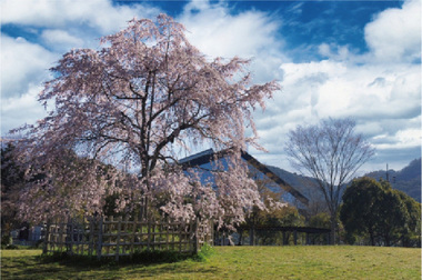 【その他】黄檗公園