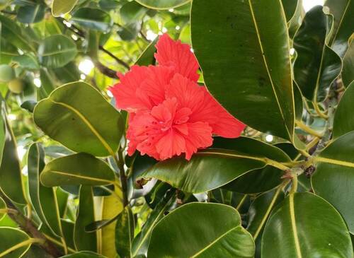 家族旅行～沖縄～