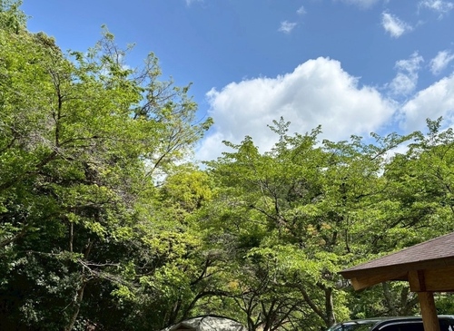 休日キャンプ