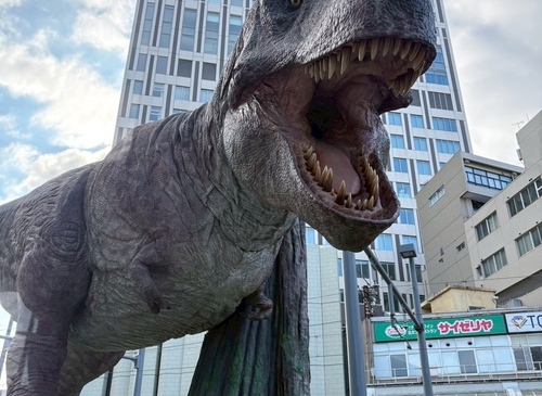福井旅行