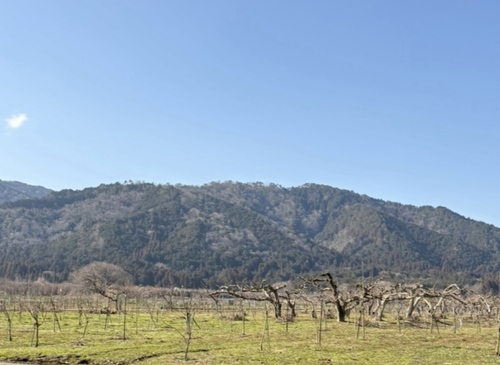 コテージでのんびり日