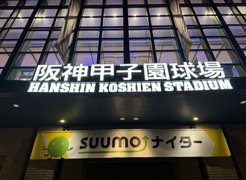 甲子園に行ってきました！