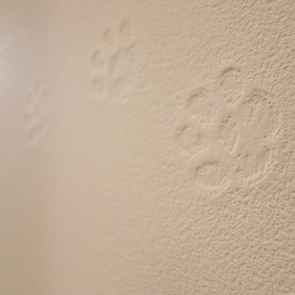 Wood × White の調和が心地よいおうち